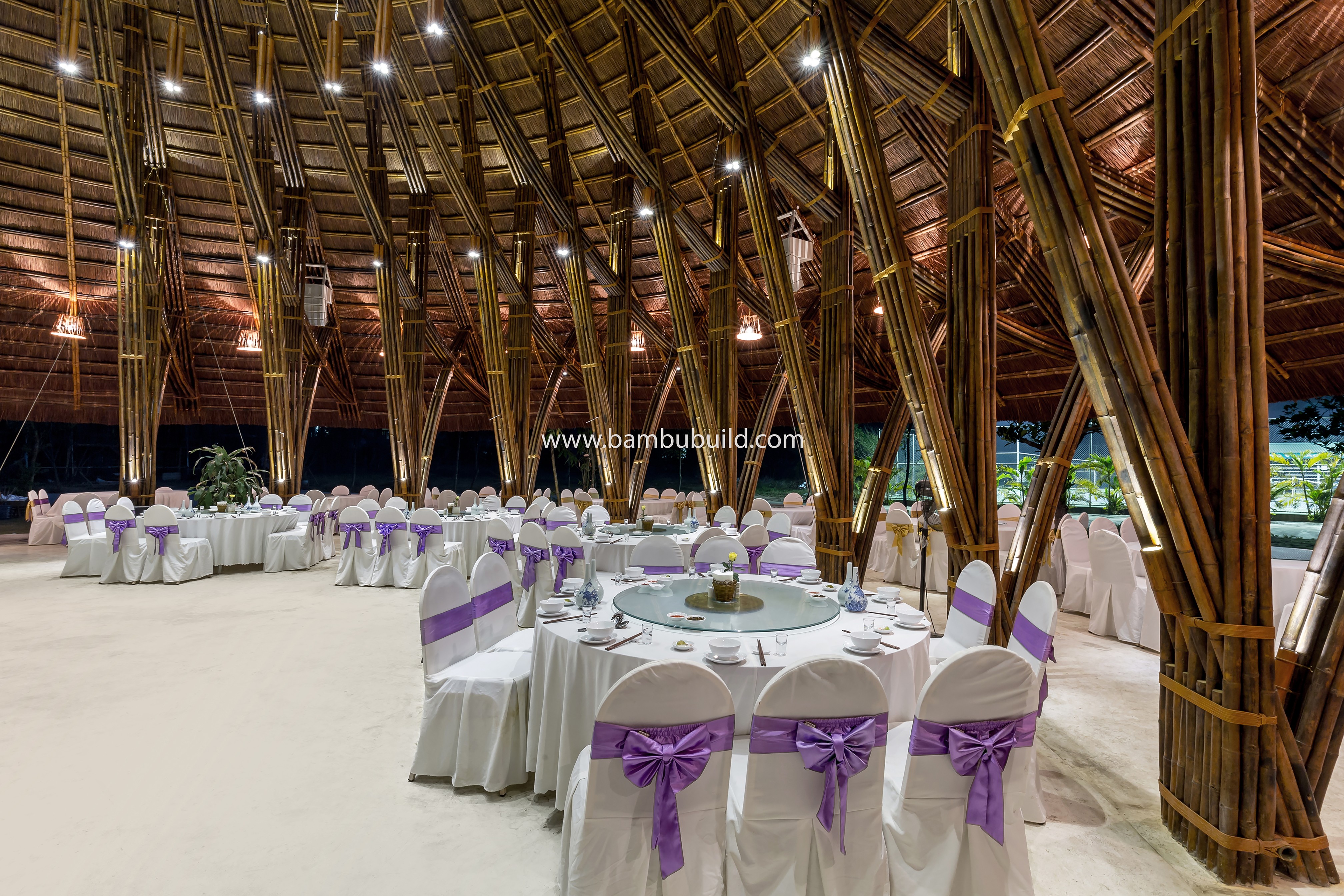 Bạn đã biết về Ngày Tre Thế Giới?