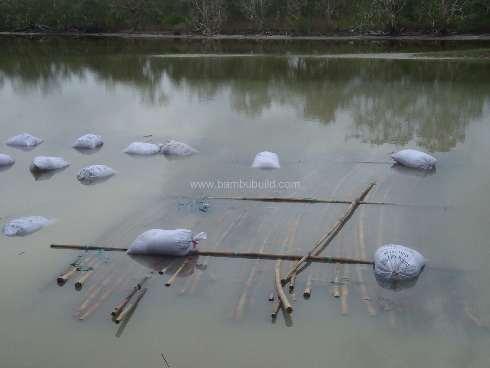 Ngâm bùn tre trúc